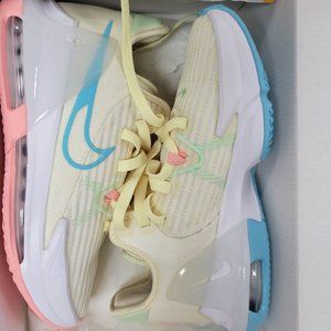 Nike Lebron Witness 6